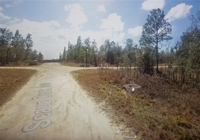 2nd image of Tinamou Ave, Brooksville, FL 34614 | MLS# TB8539209