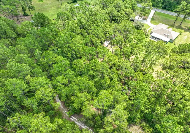 71st image of 41821 Royal Trails Rd, Eustis, FL 32736 | MLS# O6433925