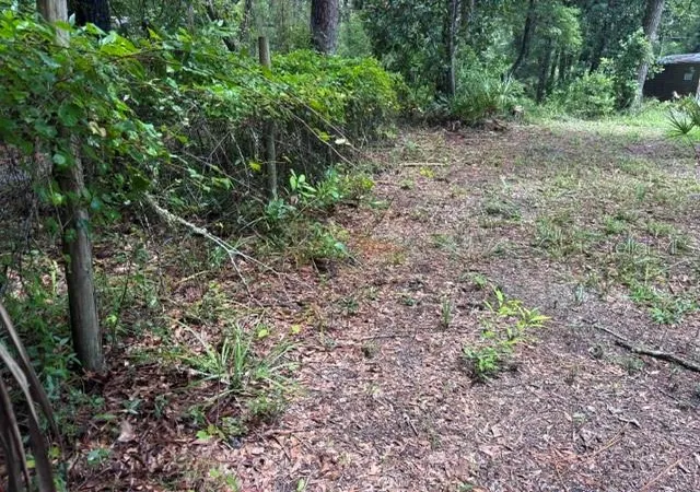 Photo 3 of Land for sale at 7455 NW 95th Street, Chiefland, FL 32626 | MLS# GC542781 | Listing updated on 2026-10-06