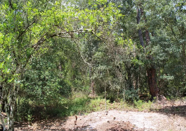 1st image of 1217 Iris Ave, Sebring, FL 33875 | MLS# TB8539480