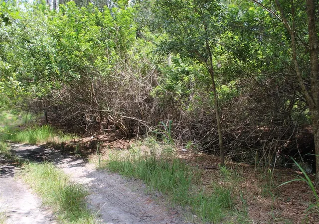 2nd image of 1217 Iris Ave, Sebring, FL 33875 | MLS# TB8539480