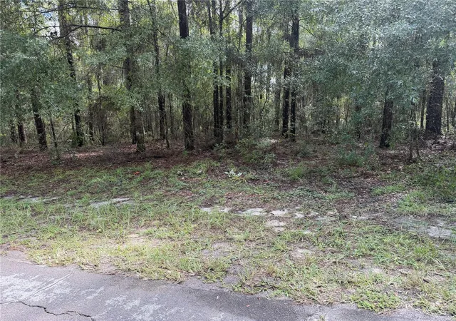 Land for sale at 10075 N Biscayne Dr, CITRUS SPRINGS, FL 34434 | MLS# OM730525