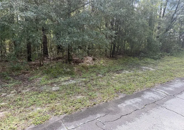 Photo 2 of Land for sale at 10075 N Biscayne Dr, Citrus Springs, FL 34434 | MLS# OM730525 | Listing updated on 2026-08-31
