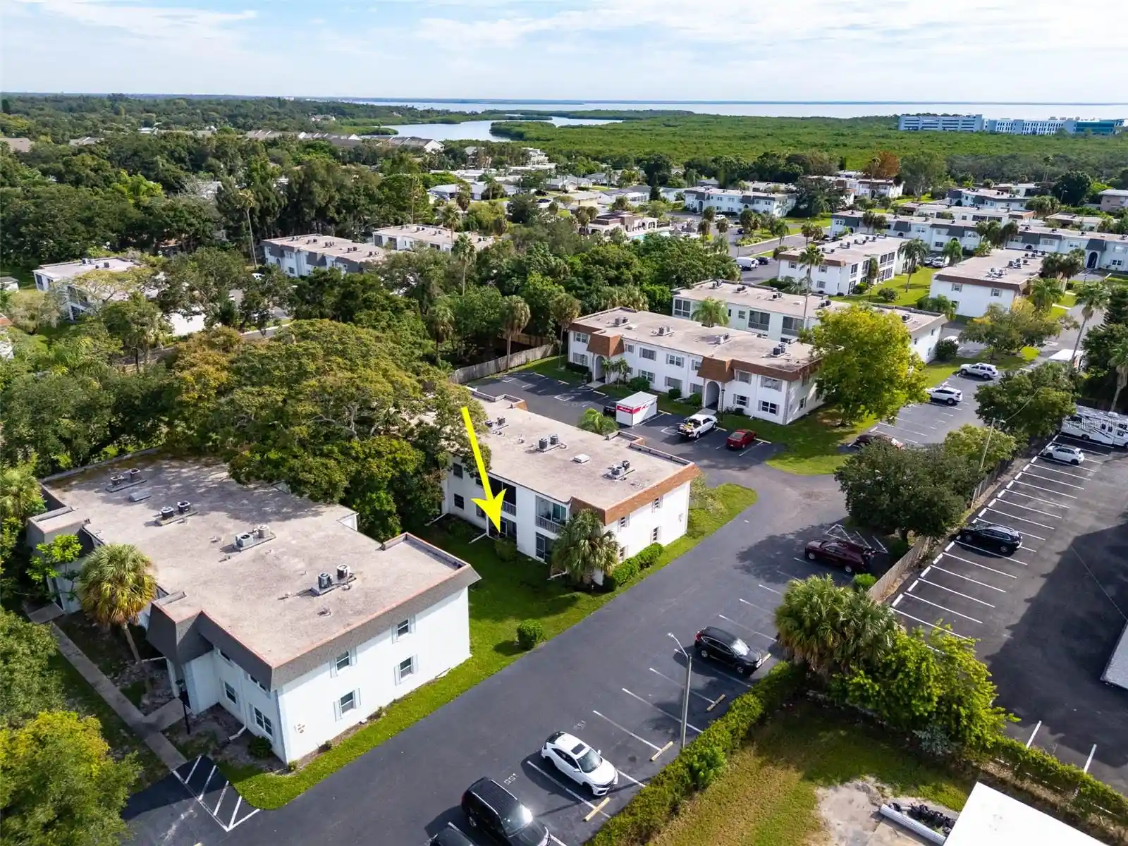 Listing Photo 24 - Condo for sale in 341 S Mcmullen Booth Rd located at 341 S Mcmullen Booth Rd, CLEARWATER, FL 33759 - Unit #147