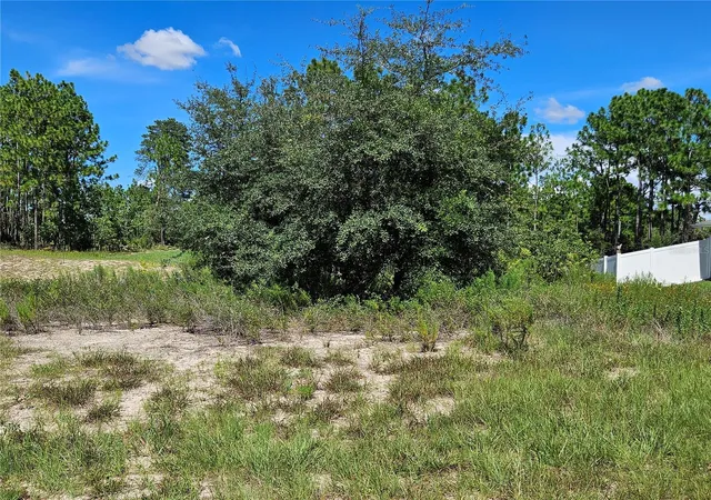 2nd image of Tbd Sw 85th Ter, Ocala, FL 34473 | MLS# OM730548