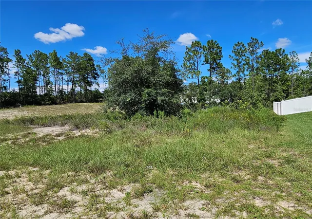 3rd image of Tbd Sw 85Th Ter, Ocala, FL 34473 | MLS# OM730548