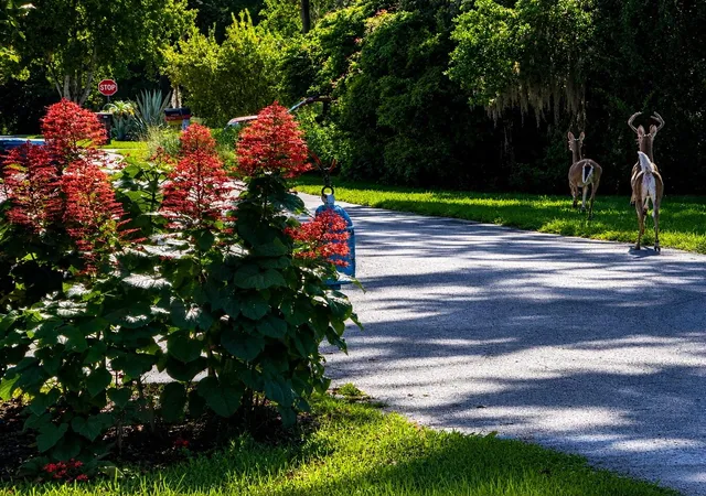 Photo 55 of Manufactured home for sale at 8421 W Scott Ct, Homosassa, FL 34448 | MLS# OM730560 | Listing updated on 2026-08-31