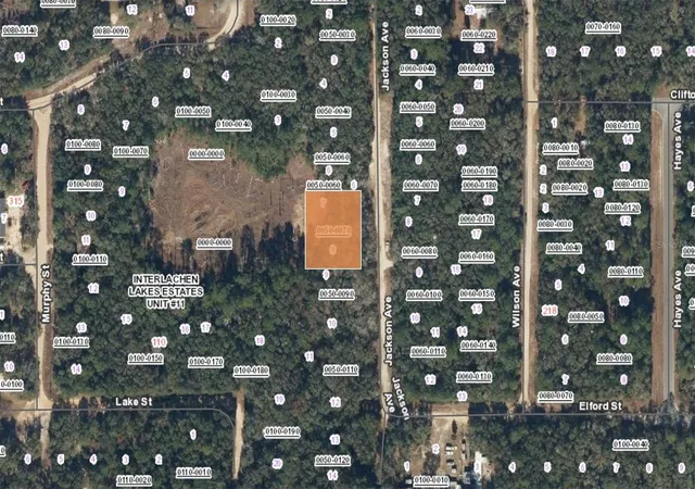 Photo 2 of Land for sale at Xx Jackson Ave Interlachen Fl, Interlachen, FL 32148 | MLS# FC320755 | Listing updated on 2026-08-26