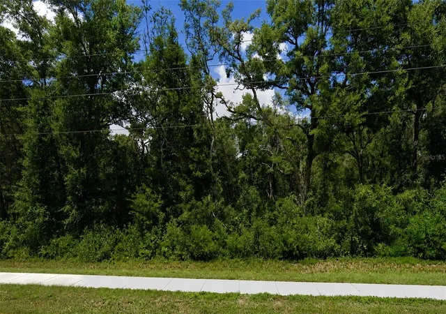 Photo 3 of Land for sale at 34357 Cortez Blvd, Dade City, FL 33523 | MLS# TB8540192 | Listing updated on 2026-08-25