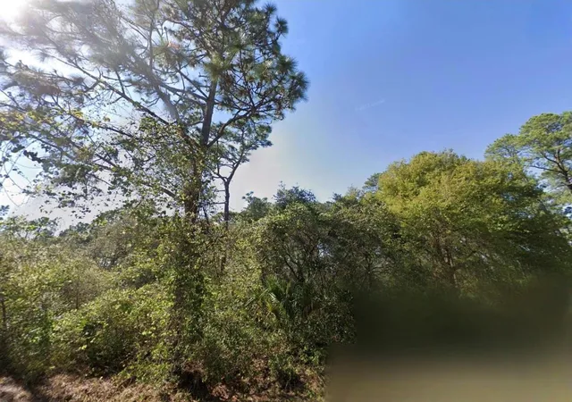 Photo 3 of Land for sale at Chinaberry Way, Eustis, FL 32736 | MLS# TB8540236 | Listing updated on 2026-09-18