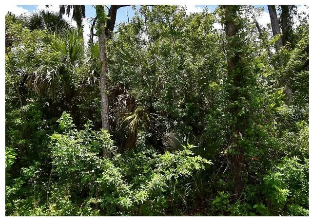 1st image of Numera Ave, North Port, FL 34288 | MLS# S5155904