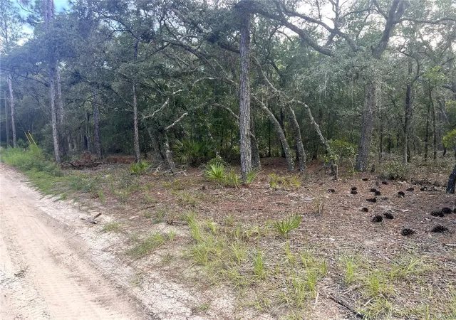 Photo 2 of Land for sale at Ne 85th St, Bronson, FL 32621 | MLS# A4703415 | Listing updated on 2026-08-24