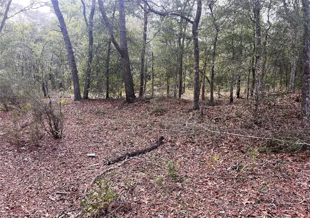 Photo 3 of Land for sale at Ne 85Th St, Bronson, FL 32621 | MLS# A4703415 | Listing updated on 2026-08-24