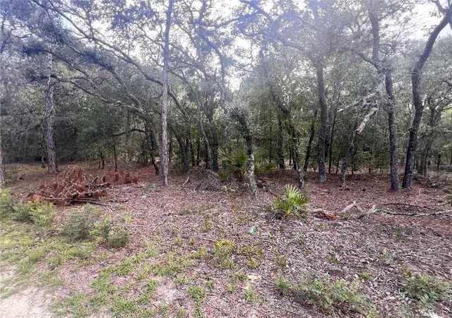 Photo 4 of Land for sale at Ne 85Th St, Bronson, FL 32621 | MLS# A4703415 | Listing updated on 2026-08-24