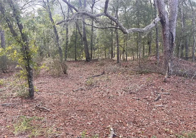 Photo 5 of Land for sale at Ne 85Th St, Bronson, FL 32621 | MLS# A4703415 | Listing updated on 2026-08-24