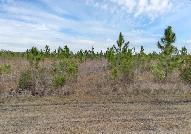 Photo 2 of Land for sale at 501 Portulaca Dr, Indian Lake Estates, FL 33855 | MLS# S5155915 | Listing updated on 2026-08-27