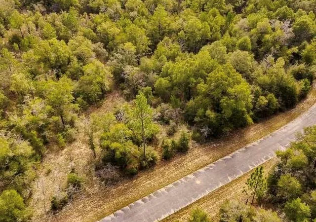 1st image of Lot #41 Dandelion Dr, Chipley, FL 32428 | MLS# O6434873