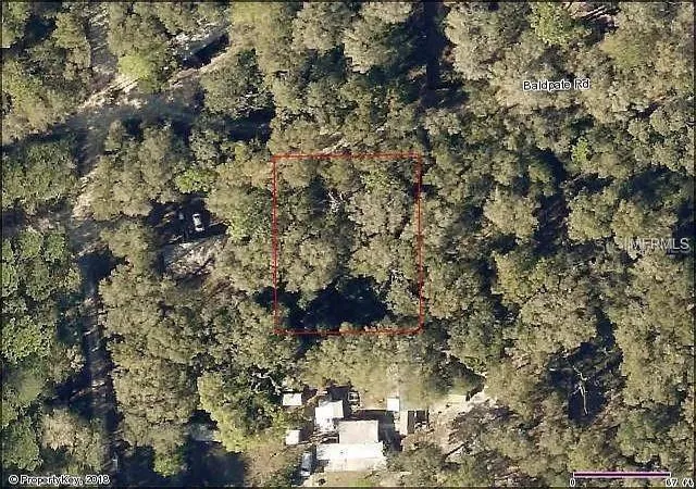 4th image of 20316 Baldpate Rd, Altoona, FL 32702 | MLS# S5155922