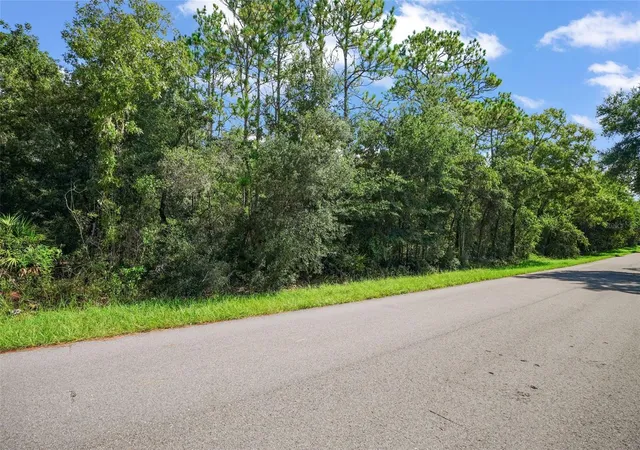 3rd image of 33441 Tombstone St, Webster, FL 33597 | MLS# W7888735
