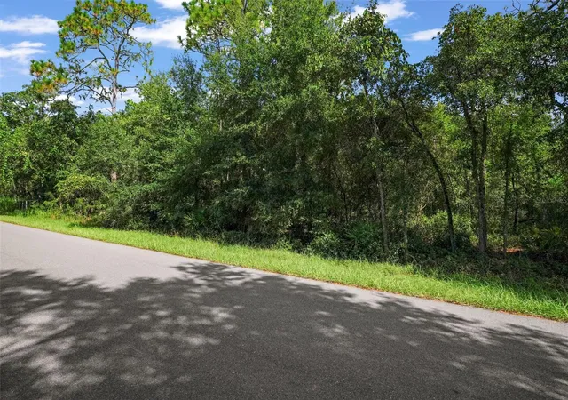 4th image of 33441 Tombstone St, Webster, FL 33597 | MLS# W7888735