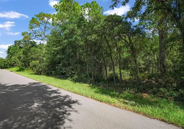 5th image of 33441 Tombstone St, Webster, FL 33597 | MLS# W7888735