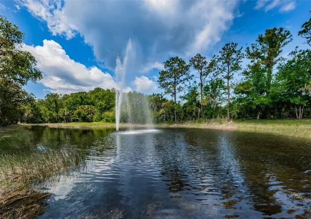 45th image of 802 Centerwood Dr, Tarpon Springs, FL 34688 | MLS# TB8540456