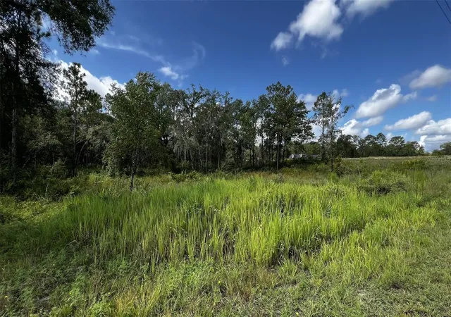 Photo 1 of Land for sale at 7398 Wagers Dr, Webster, FL 33597 | MLS# O6434930 | Listing updated on 2026-09-02