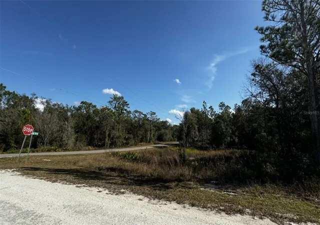 Photo 2 of Land for sale at 7398 Wagers Dr, Webster, FL 33597 | MLS# O6434930 | Listing updated on 2026-09-02