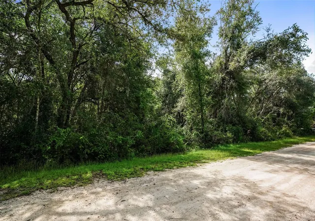 22nd image of 0 Knoxville Dr, Webster, FL 33597 | MLS# W7888739