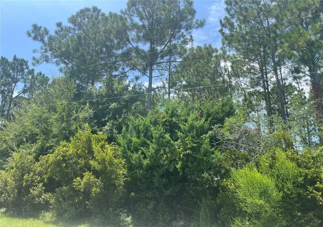 4th image of 31 Bunker Knolls Ln, Palm Coast, FL 32137 | MLS# FC320817