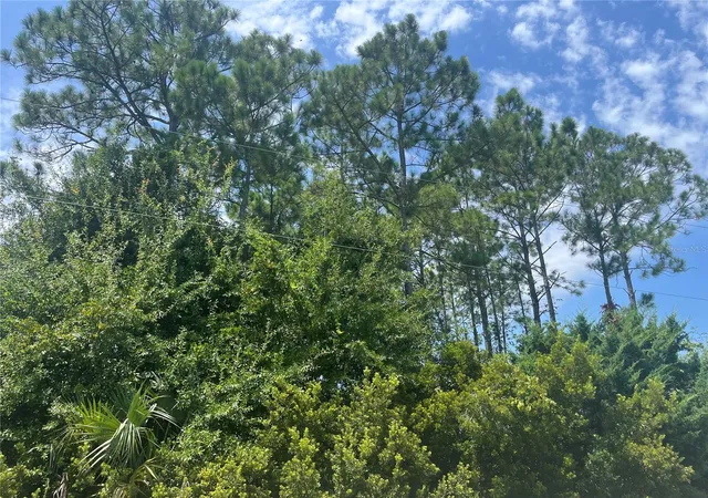 5th image of 31 Bunker Knolls Ln, Palm Coast, FL 32137 | MLS# FC320817