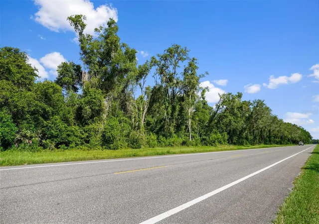 3rd image of 0 Treiman Blvd, Webster, FL 33597 | MLS# W7888742