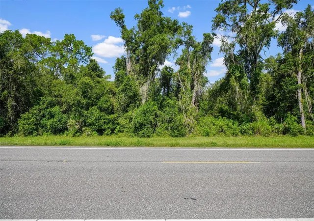 4th image of 0 Treiman Blvd, Webster, FL 33597 | MLS# W7888742