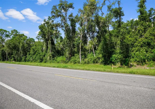 5th image of 0 Treiman Blvd, Webster, FL 33597 | MLS# W7888742