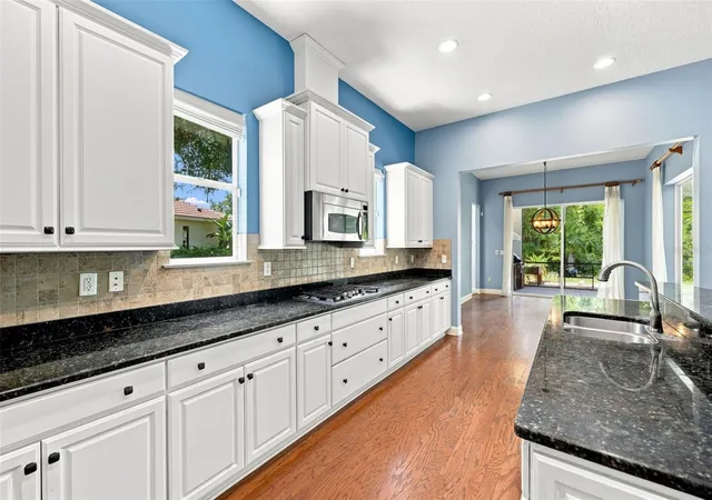 4th image of 21201 Sky Vista Dr, Land O Lakes, FL 34637 | MLS# TB8540561