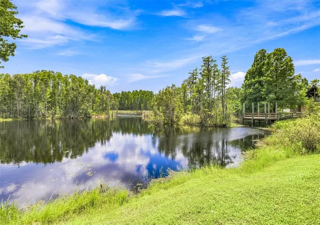 43rd image of 21201 Sky Vista Dr, Land O Lakes, FL 34637 | MLS# TB8540561