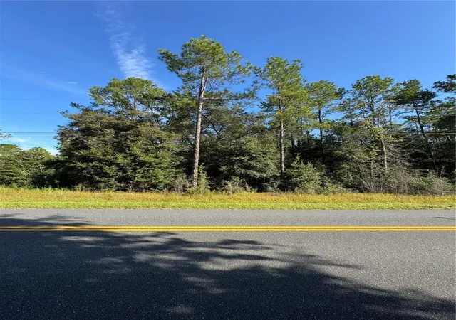 Photo 2 of Land for sale at Tbd Sw Beach Blvd, Dunnellon, FL 34431 | MLS# OM730730 | Listing updated on 2026-10-01