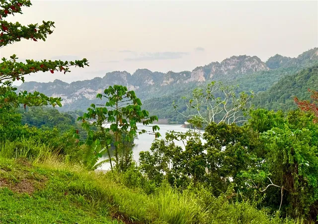 Photo 4 of Single family home for sale at Km 662 Pr 123 Rd, Utuado, PR 00641 | MLS# PR9123555 | Listing updated on 2026-08-21