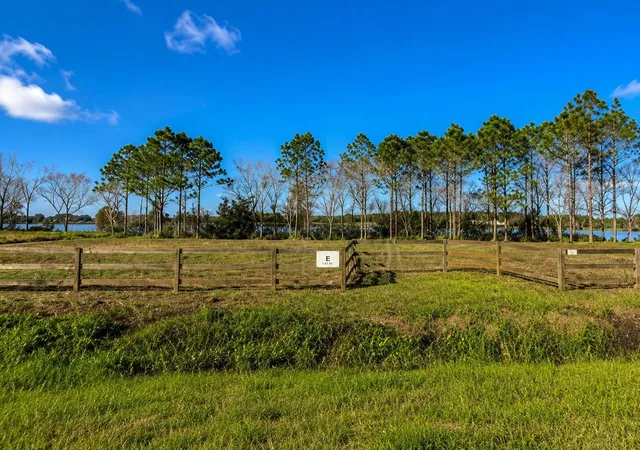 1st image of 1380 Old Brewster Rd, Fort Meade, FL 33841 | MLS# L4964440