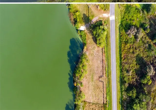Photo 3 of Land for sale at 1380 Old Brewster Rd, Fort Meade, FL 33841 | MLS# L4964440 | Listing updated on 2026-08-21