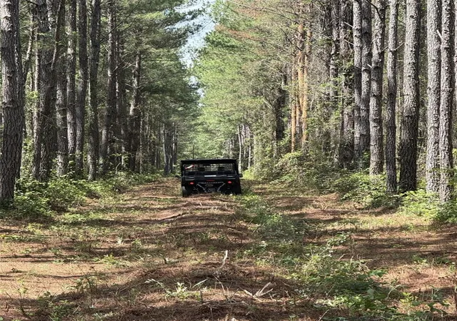 Photo 1 of Land for sale at Ne 198th Ave, Lake Butler, FL 32054 | MLS# A4703538 | Listing updated on 2026-08-21