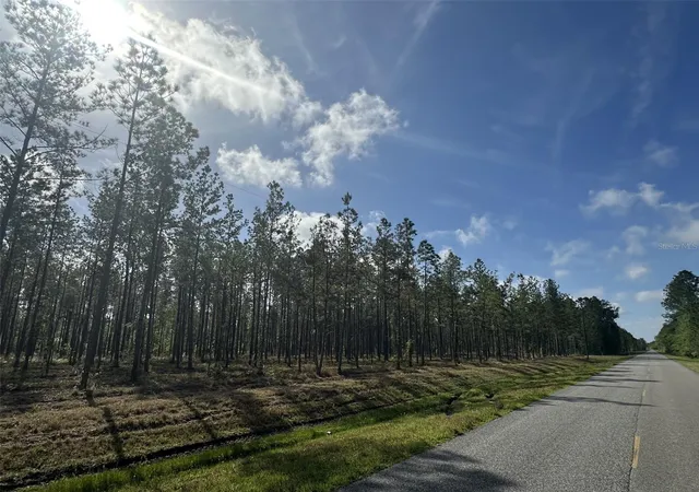 Photo 2 of Land for sale at Ne 198th Ave, Lake Butler, FL 32054 | MLS# A4703538 | Listing updated on 2026-08-21