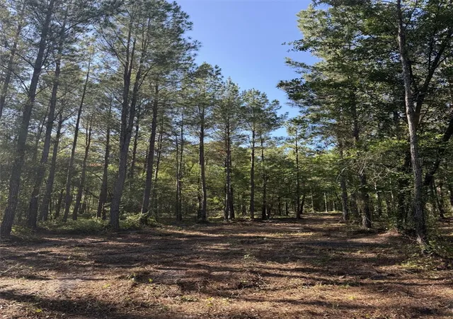 Photo 3 of Land for sale at Ne 198th Ave, Lake Butler, FL 32054 | MLS# A4703538 | Listing updated on 2026-08-21