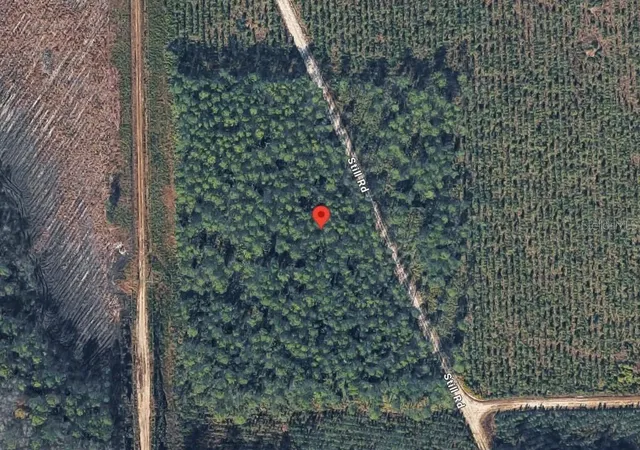 Photo 3 of Land for sale at Hwy 17s, Green Cove Springs, FL 32043 | MLS# TB8540750 | Listing updated on 2026-09-30