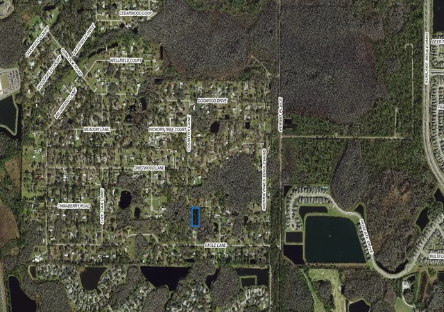 9th image of 32 26 18 0010 00000 0560 Country Ln, Lutz, FL 33558 | MLS# A4703566