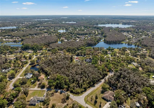 5th image of 32-26-18-0010-00000-0560 Country Ln, Lutz, FL 33558 | MLS# A4703566