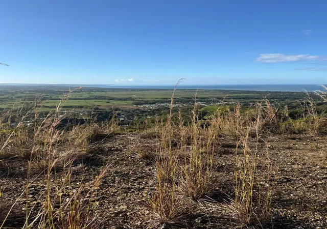 Photo 1 of Land for sale at Carr 402 Km 50 Barrio Piñales, Anasco, PR 00610 | MLS# PR9123567 | Listing updated on 2026-08-21