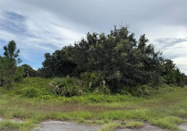 1st image of Lot 1 Gaskins Cir, North Port, FL 34288 | MLS# C7529802