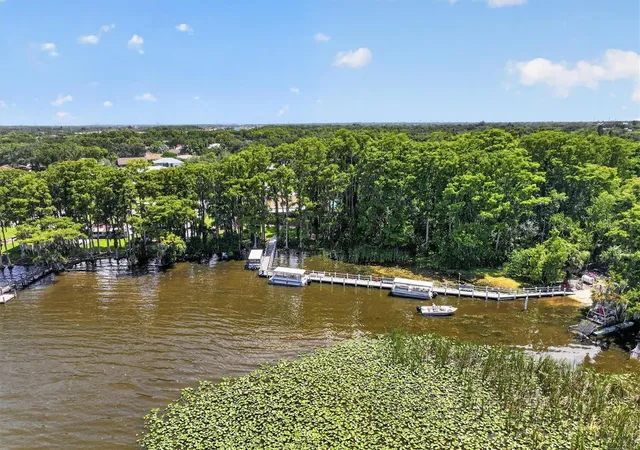 57th image of 1650 Highland Club Ln, Palm Harbor, FL 34684 | MLS# TB8540850