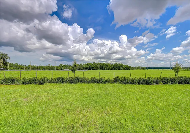 28th image of 7917 Peace Lily Ave, Wesley Chapel, FL 33545 | MLS# TB8540869
